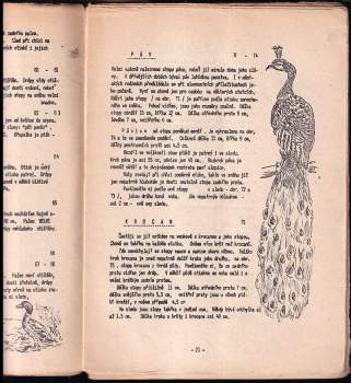 Karel Skála: Stopování