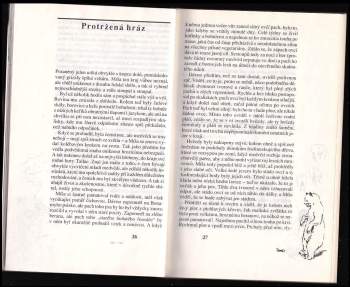 Ernest Thompson Seton: Stopy v divočině