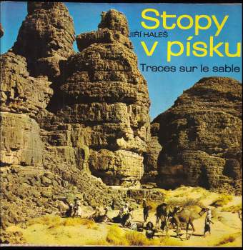 Stopy v písku