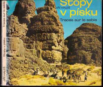 Stopy v písku