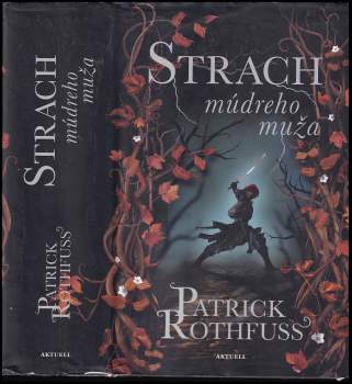 Patrick Rothfuss: Strach múdreho muža