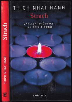 Strach : základní průvodce, jak přežít bouři