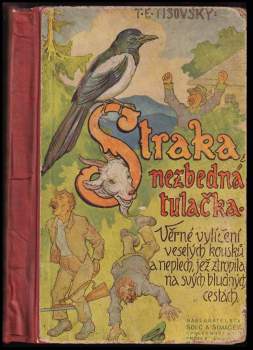 Straka, nezbedná tulačka