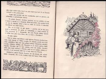 Jaroslav Hloušek: Strakonický dudák