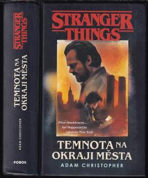 Stranger things : Temnota na okraji města