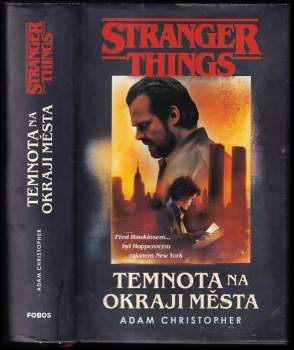 Stranger things : Temnota na okraji města