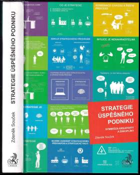 Strategie úspěšného podniku