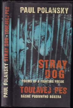 Stray dog
