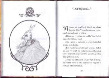 Jess Black: Strážkyně krystalů