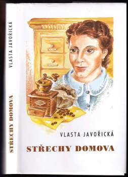 Střechy domova