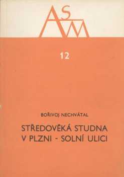 Středověká studna v Plzni - Solní ulici