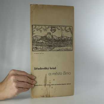 Středověký hrad a město Brno