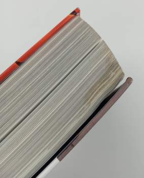 Tomáš Pospiszyl: Street art