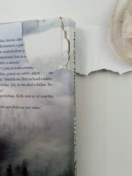 Sandra Brown: Střemhlavý pád