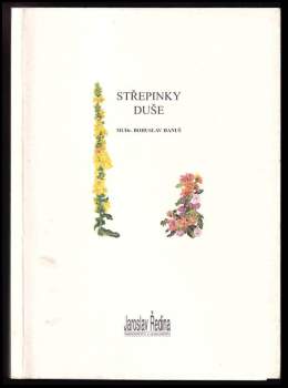 Střepinky duše