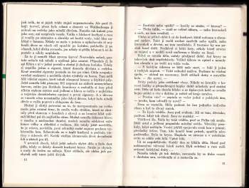 Vladimír Körner: Střepiny v trávě