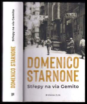 Domenico Starnone: Střepy na via Gemito