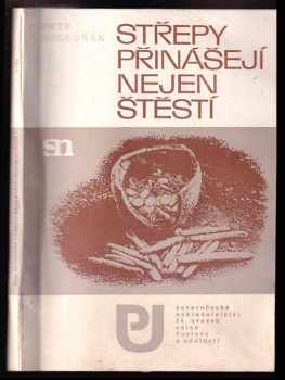 Petr Holodňák: Střepy přinášejí nejen štěstí