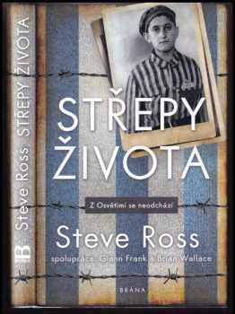 Steve Ross: Střepy života