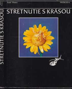 Stretnutie s krásou