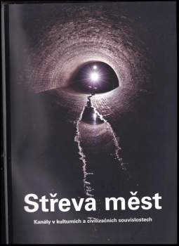 Michal Janata: Střeva měst