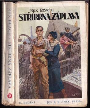 Stříbrná záplava