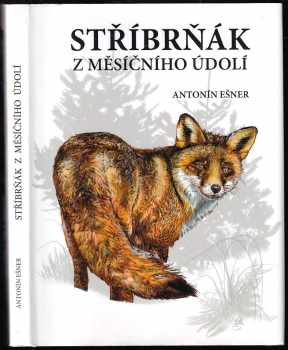 Stříbrňák z Měsíčního údolí