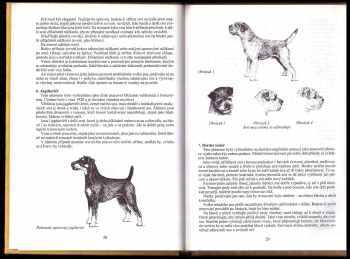 Renate Dolz: Stříhání a trimování psů