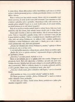 Marie Flieglová: Střípek pro štěstí