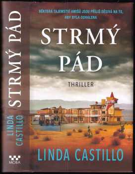Linda Castillo: Strmý pád