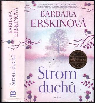 Barbara Erskine: Strom duchů