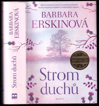 Barbara Erskine: Strom duchů