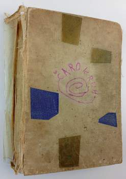 Jan Vladislav: Strom pohádek z celého světa