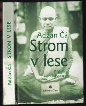 Strom v lese
