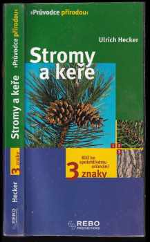 Stromy a keře