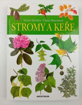 Stromy a keře