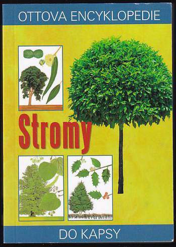 Stromy