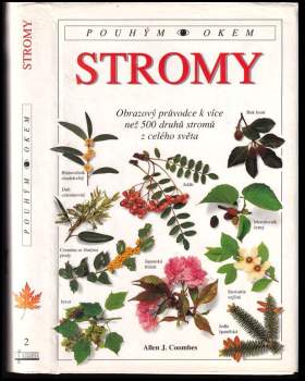 Stromy
