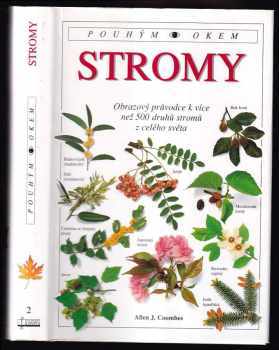Allen J Coombes: Stromy