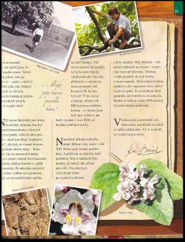 David Burnie: Stromy