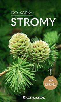 Stromy