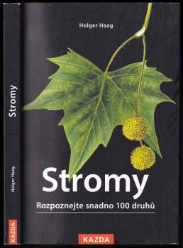 Holger Haag: Stromy