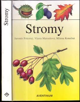 Stromy