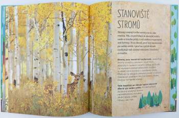 Jen Green: Stromy