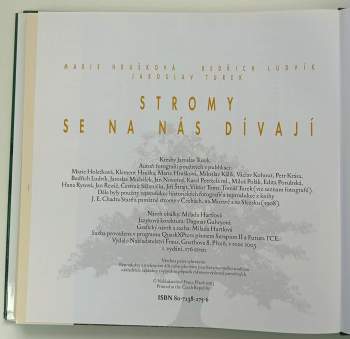 Stromy se na nás dívají