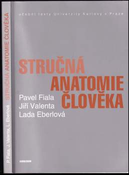 Stručná anatomie člověka