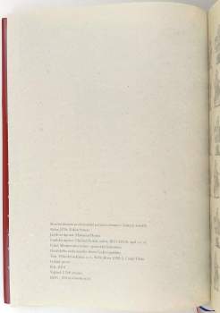 Zoltán Szaszo: Stručná historie profesionální požární ochrany v českých zemích