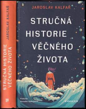 Stručná historie věčného života