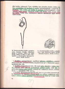 Zdeněk Frankenberger: Stručná učebnice histologie