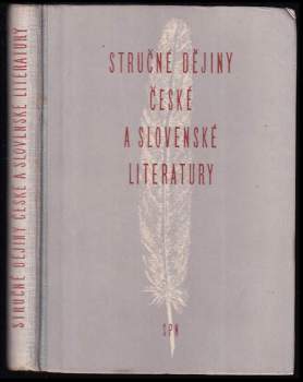 Stručné dějiny české a slovenské literatury